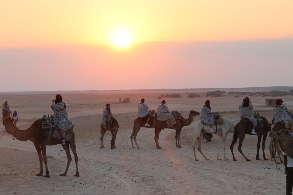 tour della tunisia di 8 giorni, dromedari, punto di rotta