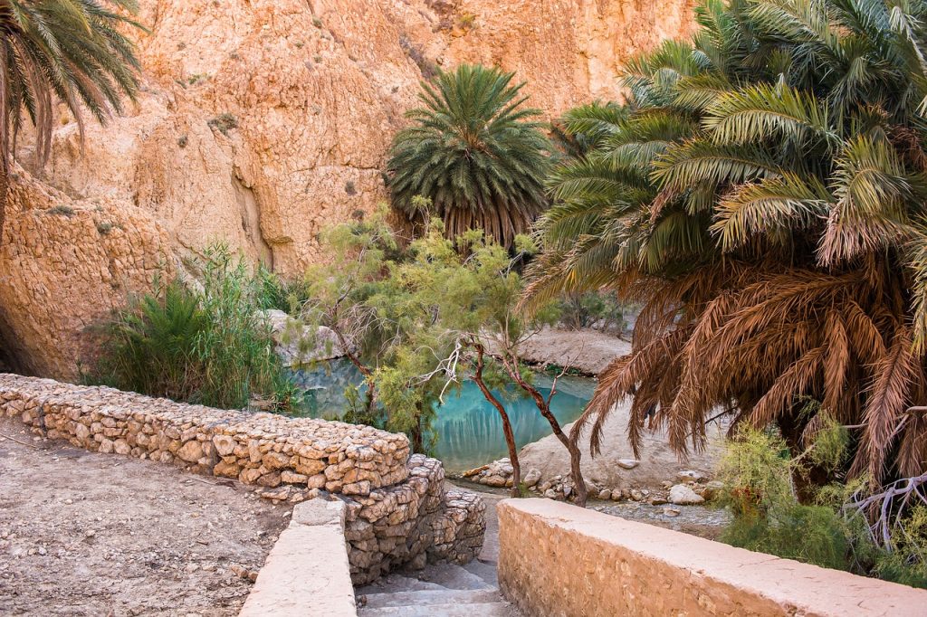 tunisia cosa vedere, oasi, punto di rotta