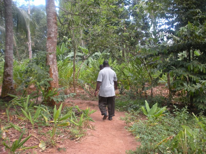 escursioni zanzibar, spezie, punto di rotta