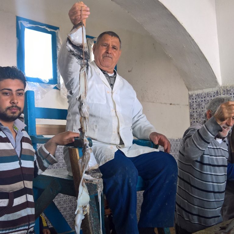 vita lcoale a Djerba, mercato del pesce, punto di rotta