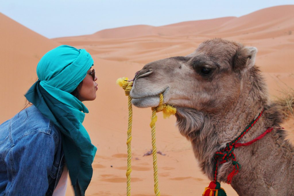 dromedario a djerba, donna con dromedario, punto di rotta
