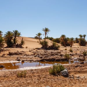 tour tunisia, punto di rotta