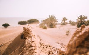 cosa fare in tunisia, oasi, punto di rotta