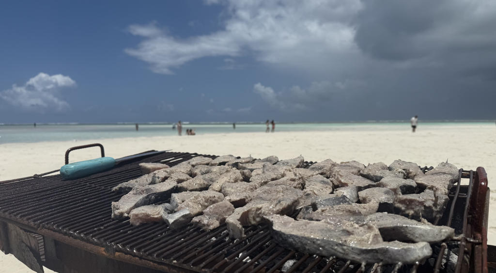 sardegna 2, kenya, grigliata, punto di rotta