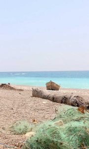 escursione nelle piantagioni di caffe, mare sud repubblica dominicana, punto di rotta