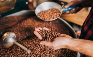 escursione nelle piantagioni di caffe, punto di rotta