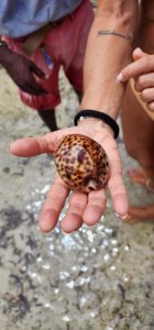 escursioni Kenya, conchiglia, punto di rotta