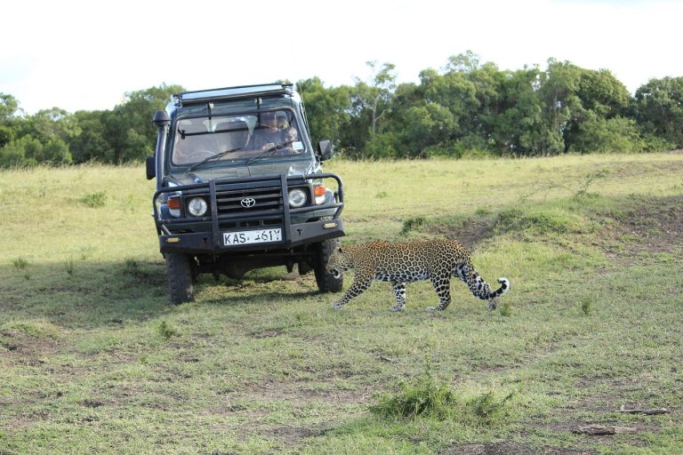 masai-mara-safari-kenya-punto-di-rotta