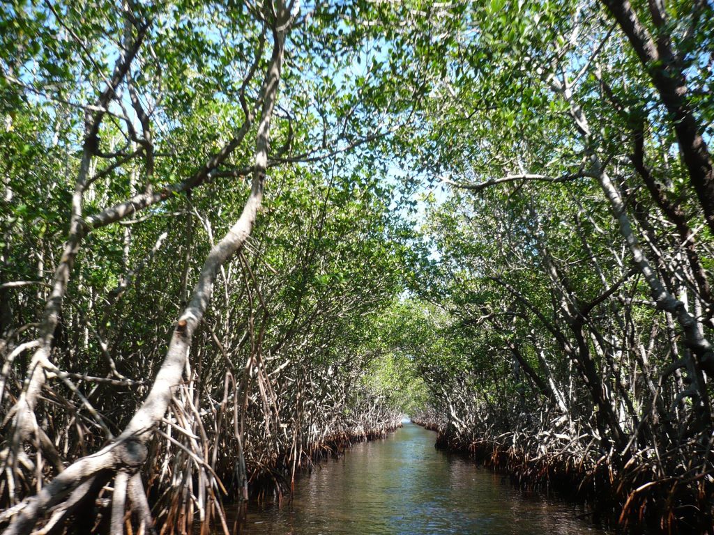 mida creek adventure, kenya, punto di rotta