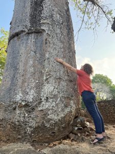 rovine di gede, donna che abbraccia baobab, punto di rotta