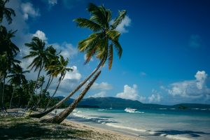 tour classico della repubblica dominicana, spiaggia con palme, punto di rotta
