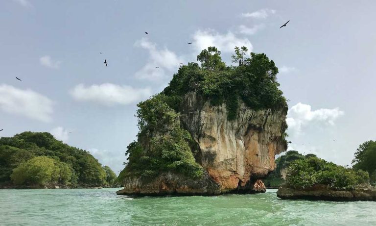 tour cultura, mari e monti repubblica dominicana, mangrovie, punto di rotta