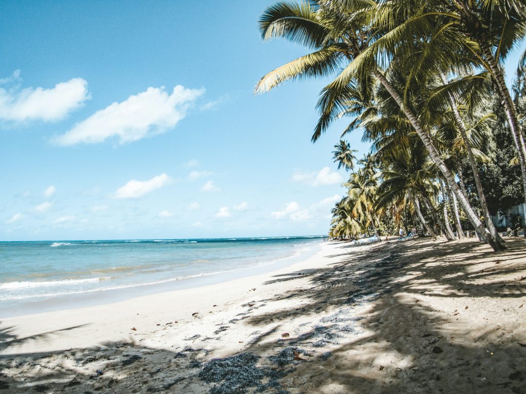 appartamenti da comprare a las terrenas, spiaggia, punto di rotta